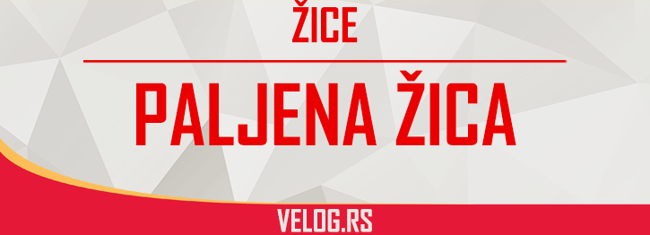 Paljena žica